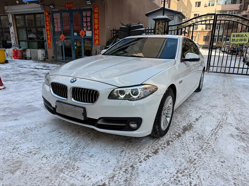 BMW 5 Series 2014 — фото 1