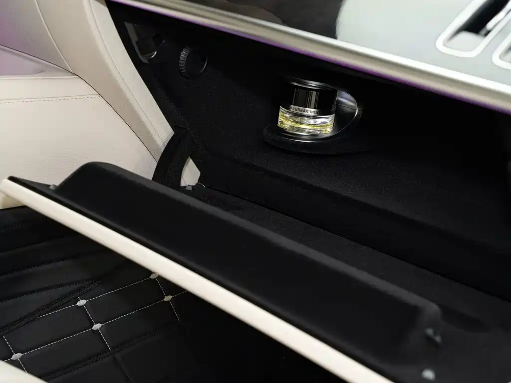 Mercedes-Benz S-Class 2021 — фото 15