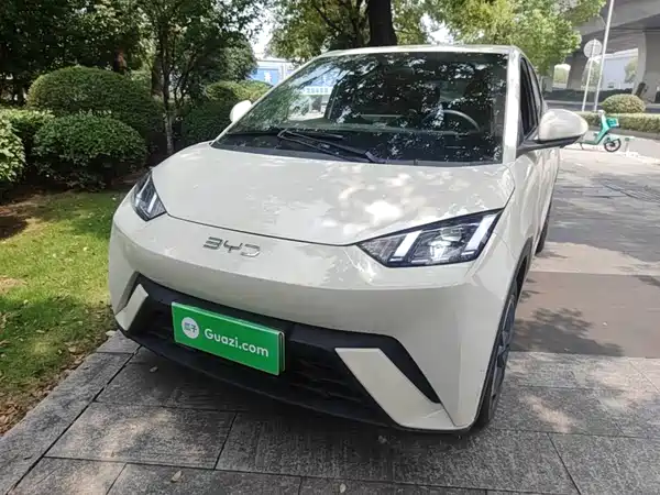 BYD Seagull 2024