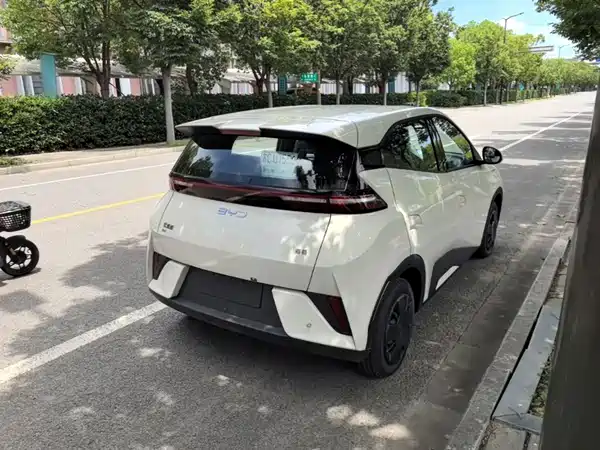 BYD Seagull 2026
