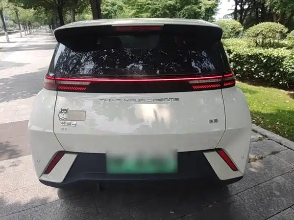 BYD Seagull 2024