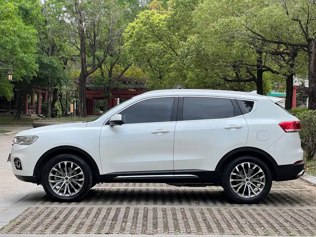 Haval H6 2017 — фото 5