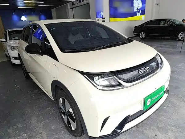 BYD Dolphin 2023