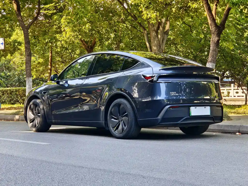 Tesla Model Y 2025 — фото 16