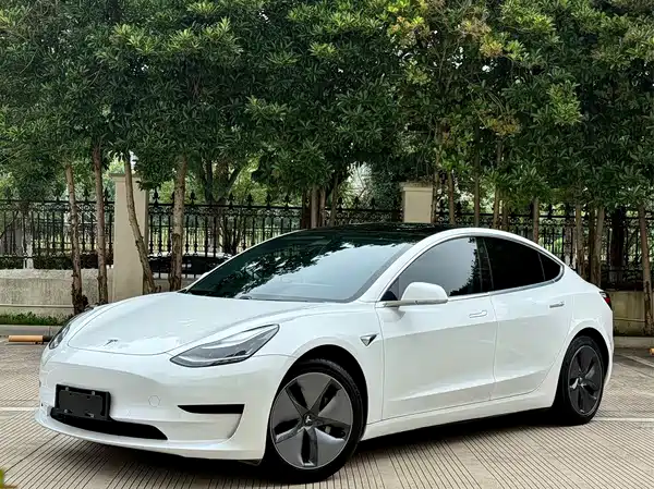 Tesla Model 3 2019