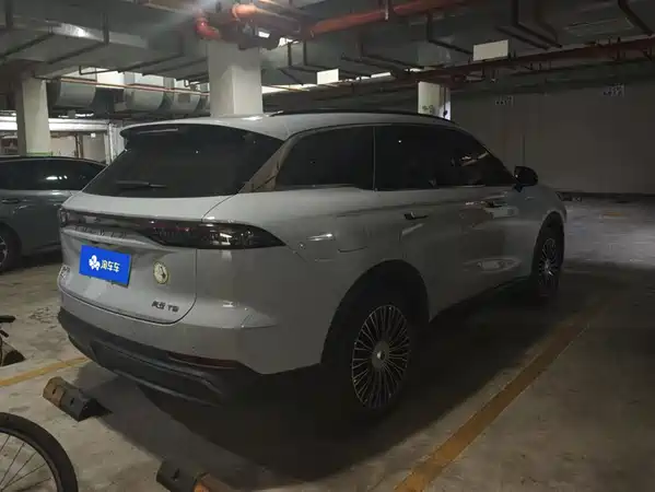 Chery Fengyun T9 2024