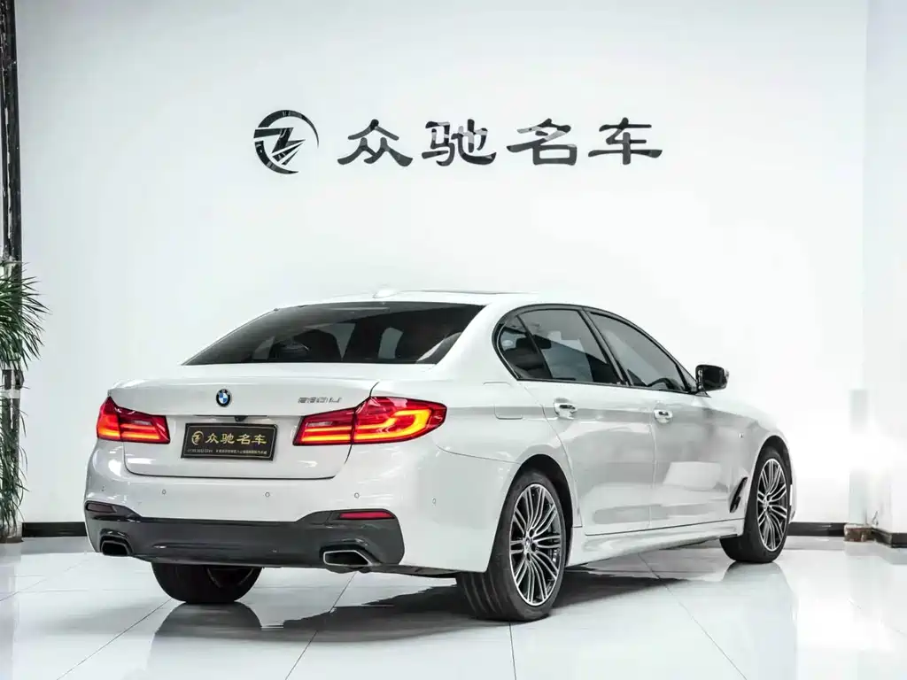 BMW 5 Series 2017 — фото 10