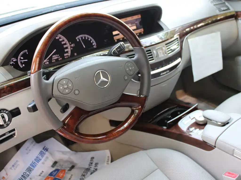 Mercedes-Benz S-Class 2010 — фото 21