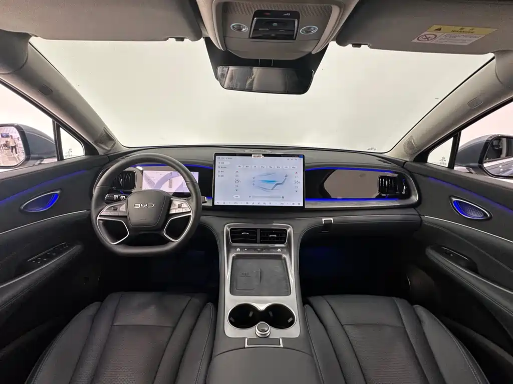 BYD Sealion 07 DM-i 2025 — фото 21