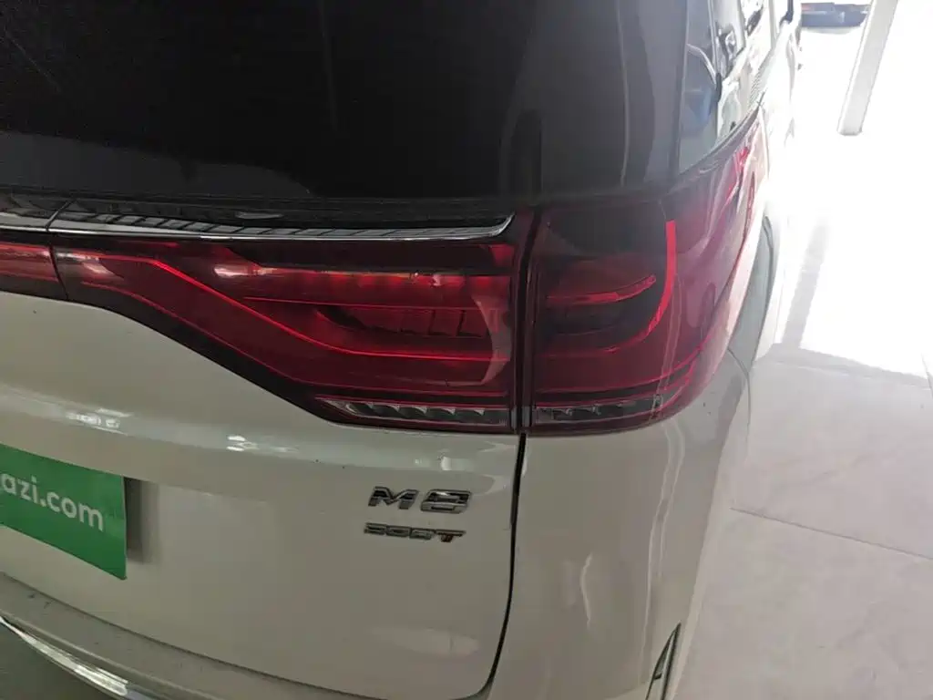 GAC Trumpchi M8 2021 — фото 24
