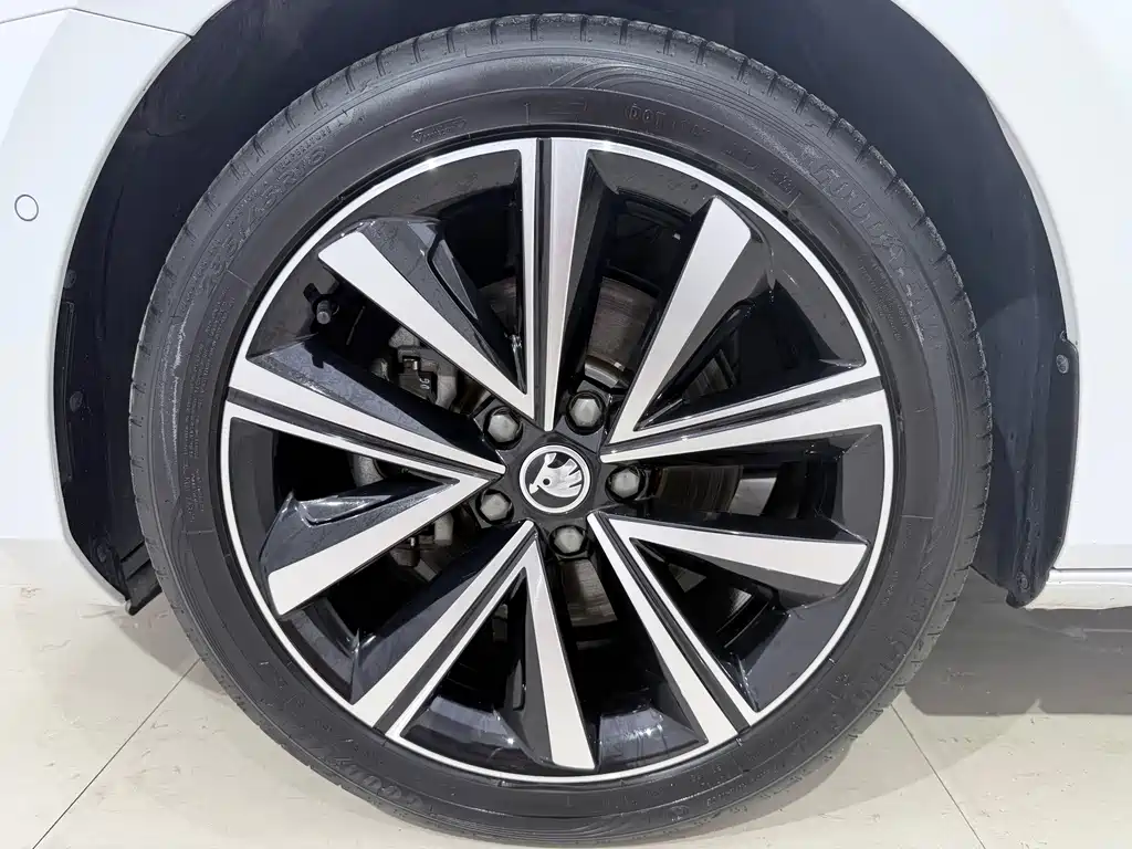 Skoda Speedy 2023 — фото 15