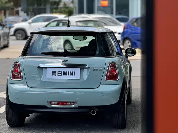 MINI 2013