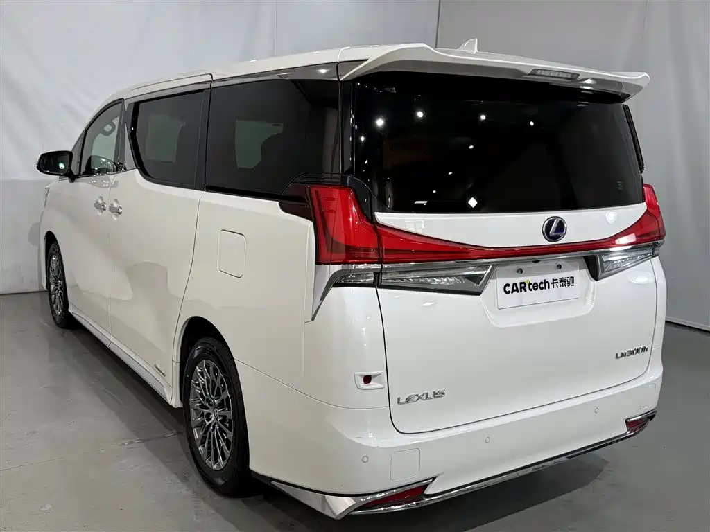 Lexus LM 2020 — фото 21