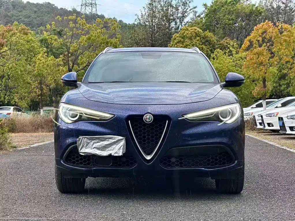 Alfa Romeo Stelvio 2018 — фото 2