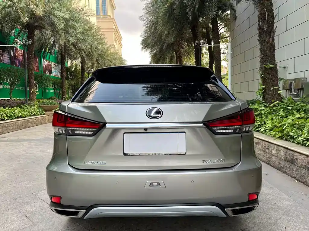 Lexus RX 2020 — фото 4