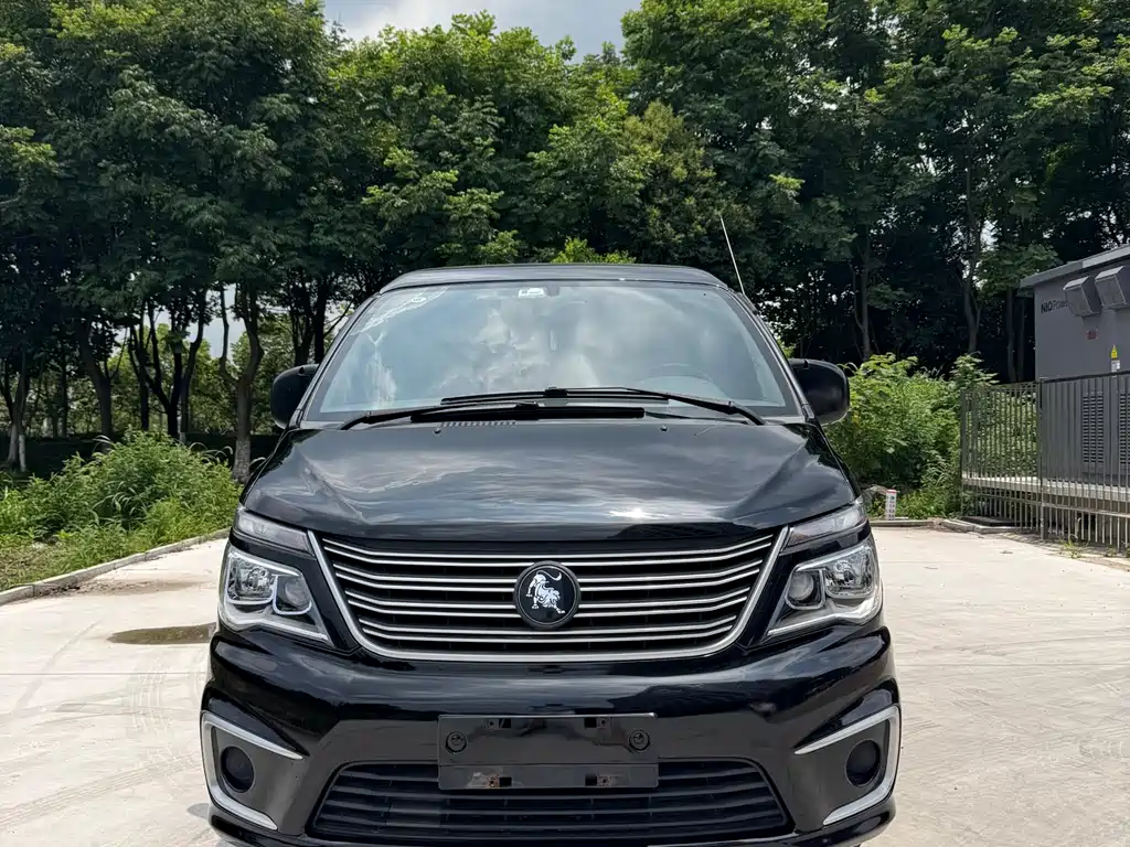 Dongfeng Lingzhi 2022
