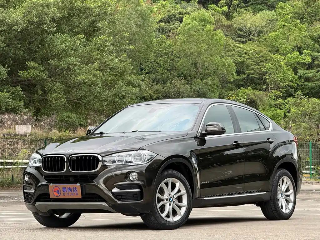 BMW X6 2019 — фото 2