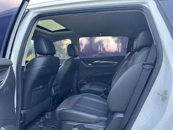 BYD Song MAX 2020
