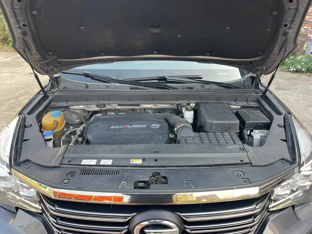 GAC Trumpchi GS8 2020 — фото 26