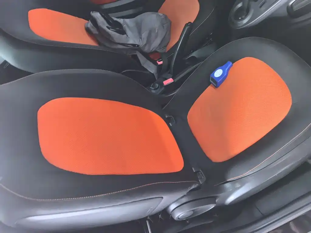 smart fortwo 2015 — фото 20
