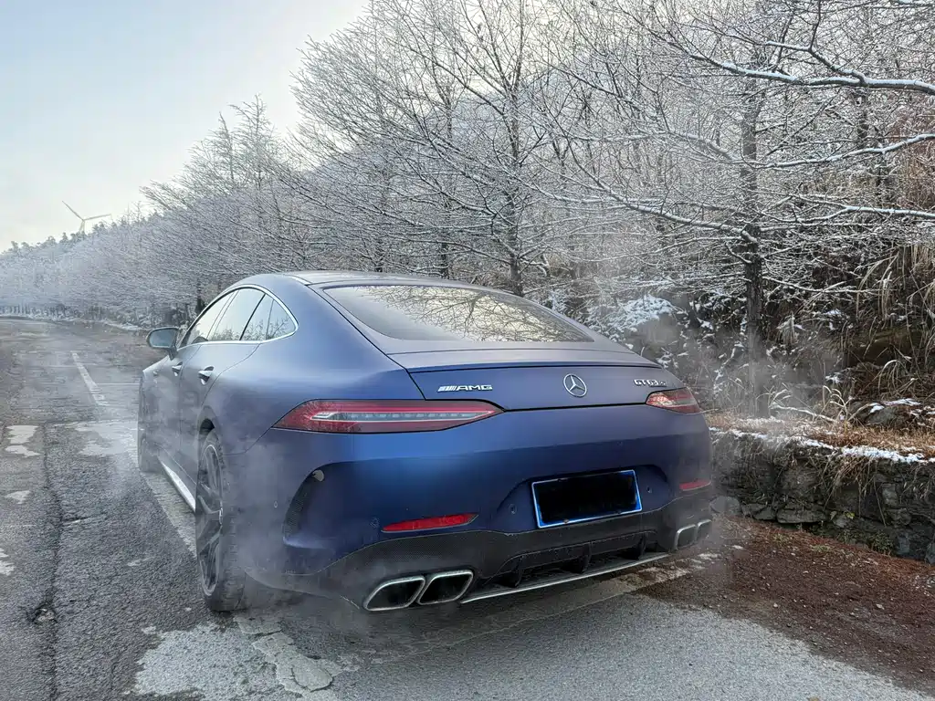 Mercedes-Benz AMG GT 2019 — фото 5