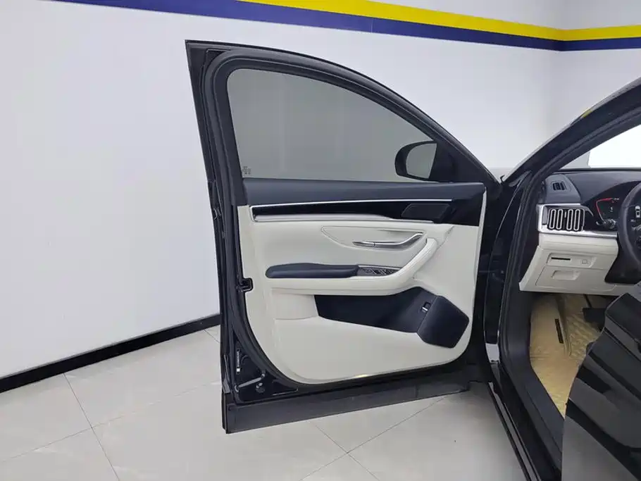BYD Song PLUS New Energy 2023 — фото 7