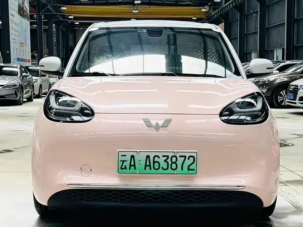 Wuling Bingo 2024