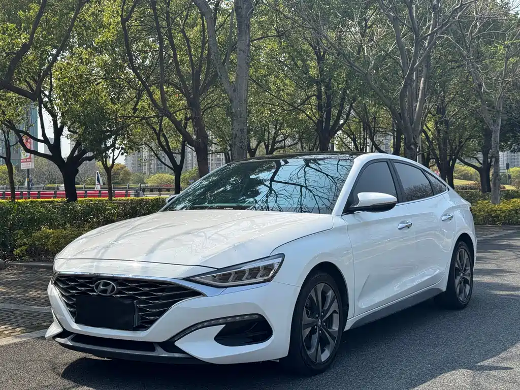 Hyundai Fista 2021 — фото 1