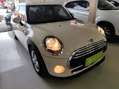 MINI MINI 2018