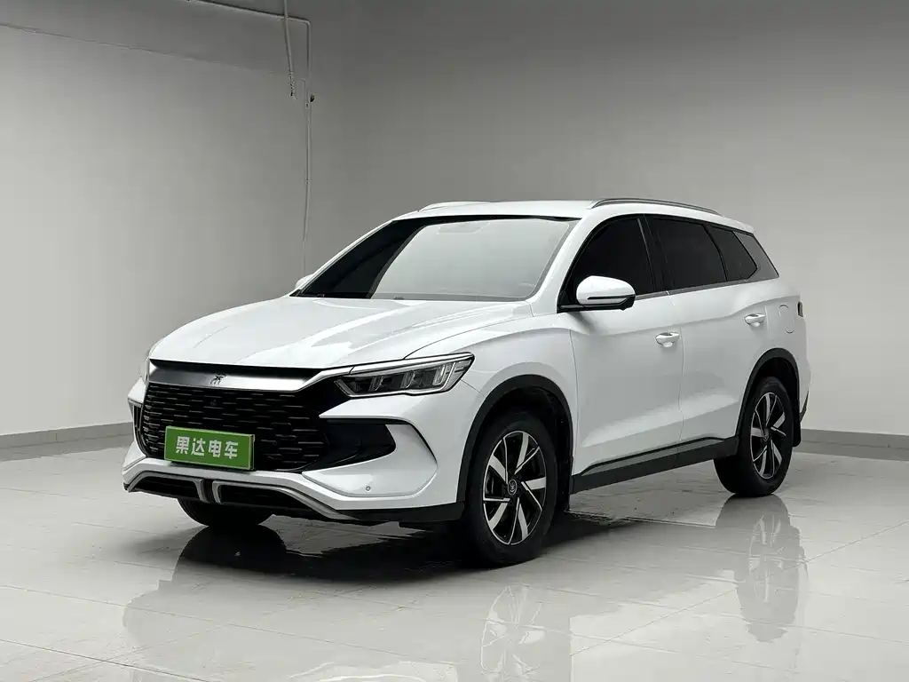 BYD Pro New Energy 2024 — фото 1