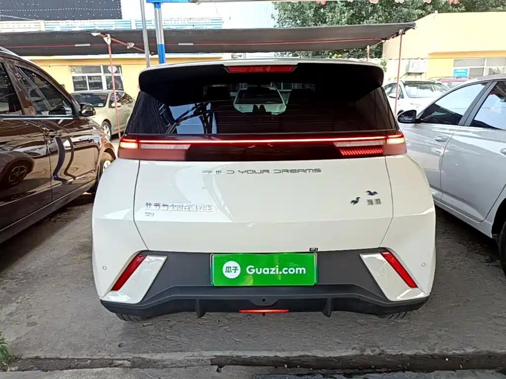 BYD Seagull 2024