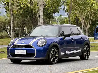 MINI MINI 2024