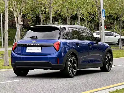 MINI MINI 2024