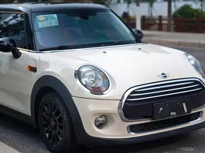 MINI MINI 2018
