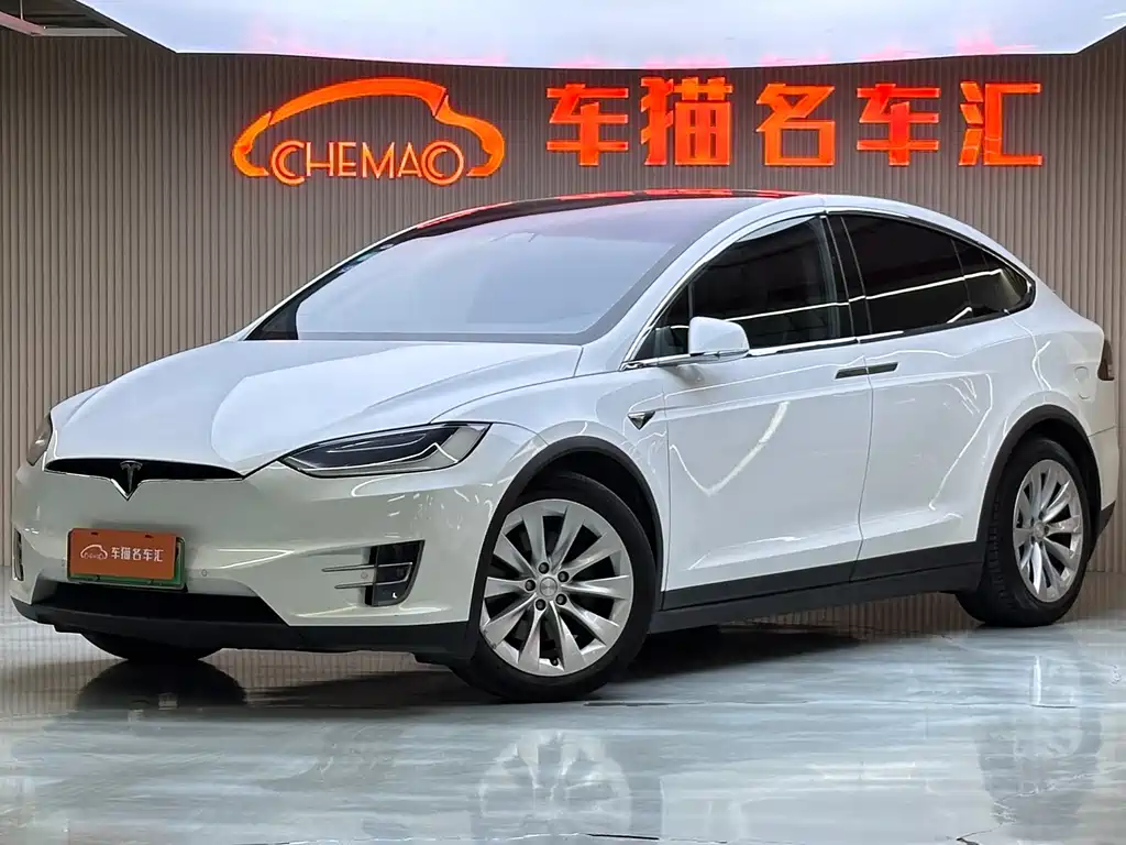 Tesla Model X 2017 — фото 2