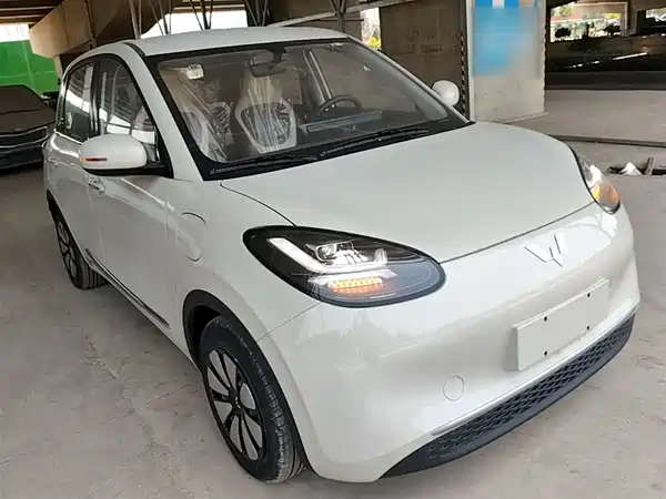 Wuling Bingo 2024