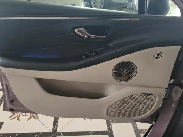 Aion RT 2024