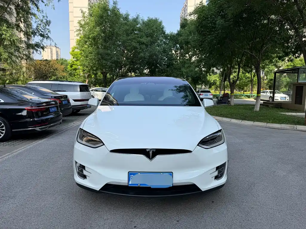 Tesla Model X 2017 — фото 2