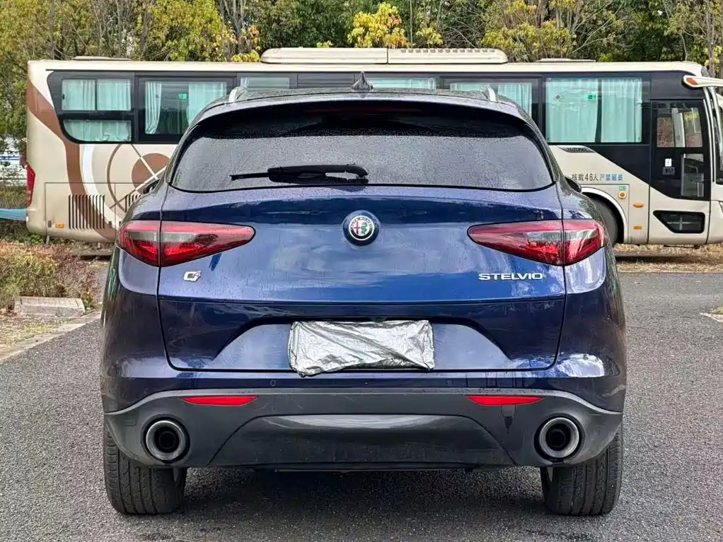 Alfa Romeo Stelvio 2018 — фото 8