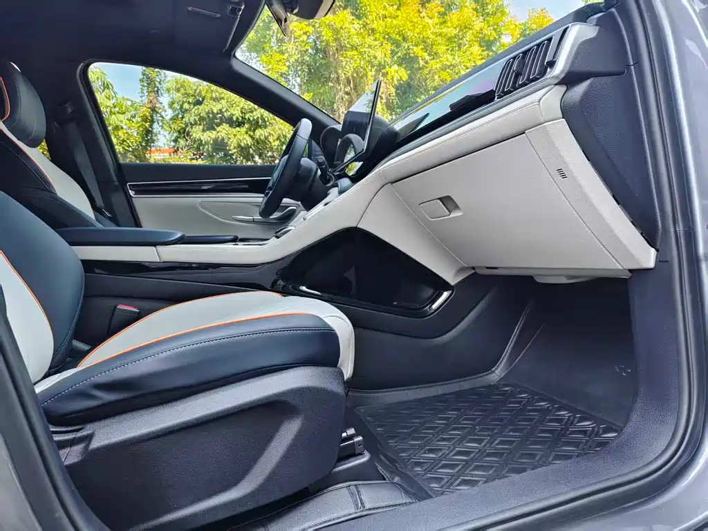 BYD PLUS New Energy 2023 — фото 12