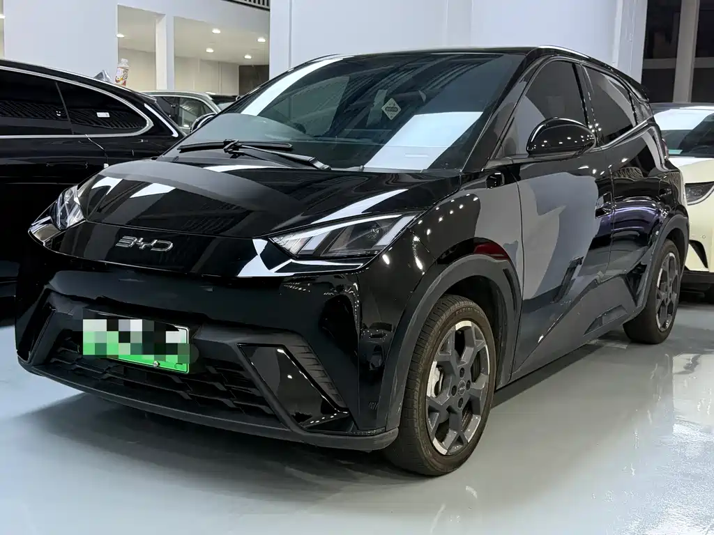 BYD Seagull 2024