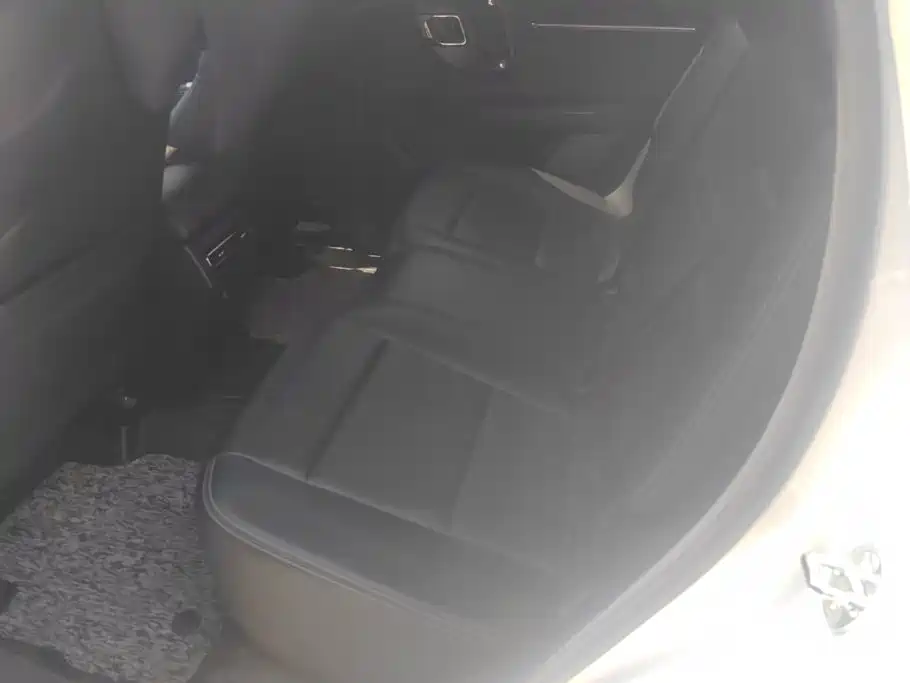 Haval Dargo PLUS EV 2023 — фото 11