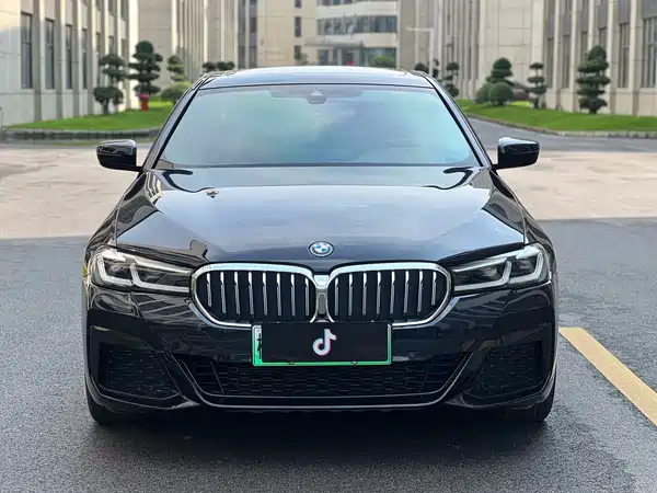 BMW 5 Series New Energy 2021
