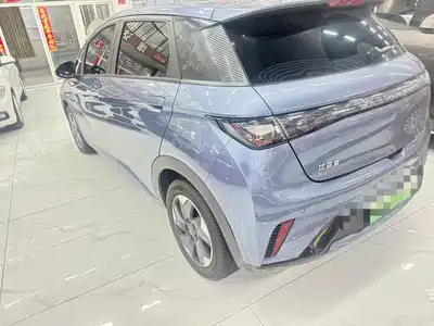 BYD Dolphin 2024