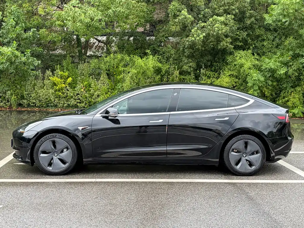 Tesla Model 3 2020 — фото 4