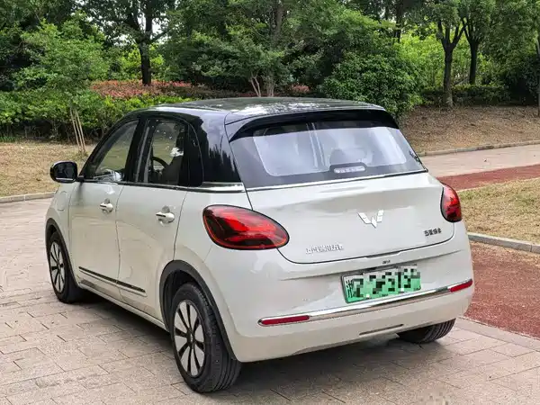 Wuling Bingo 2023