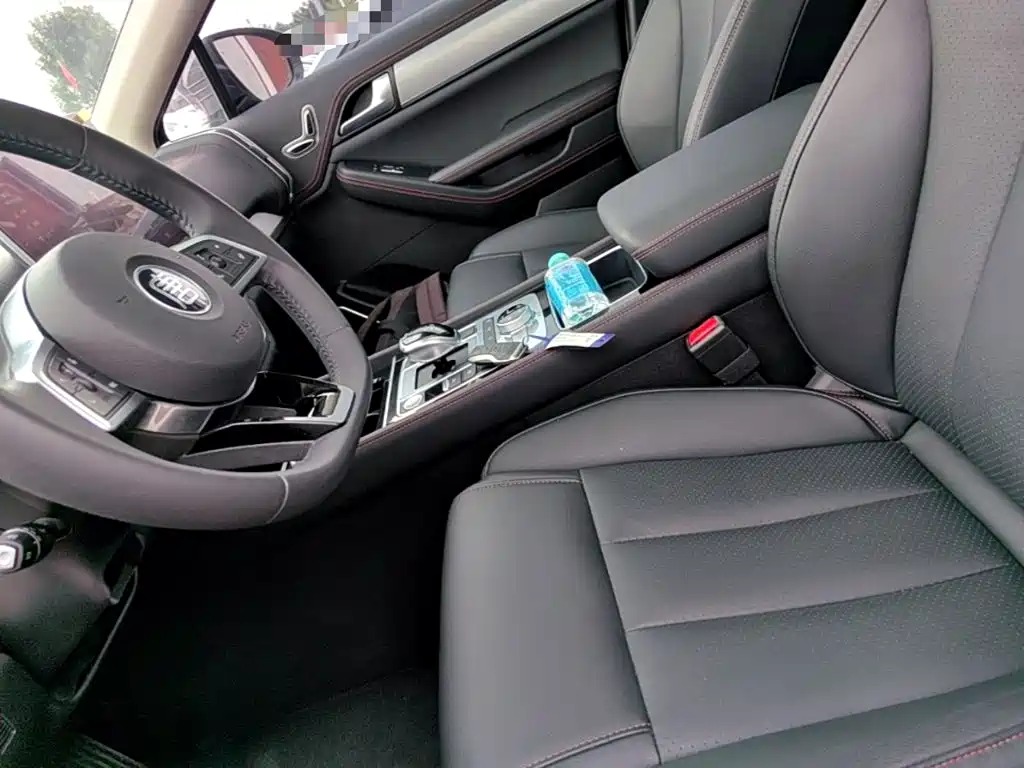 BYD Tang New Energy 2019 — фото 15