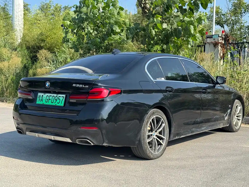 BMW 5 Series New Energy 2021