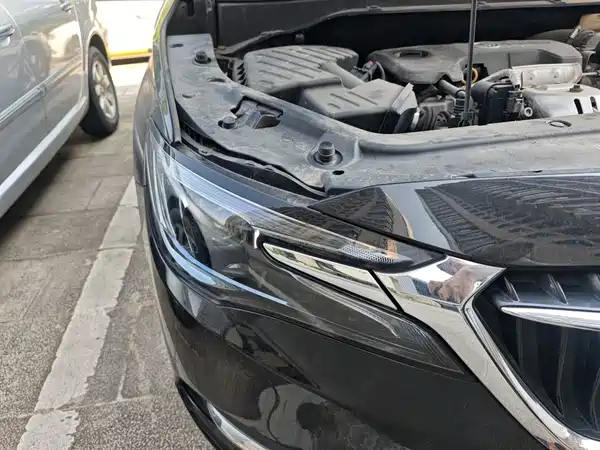 Buick GL6 2018