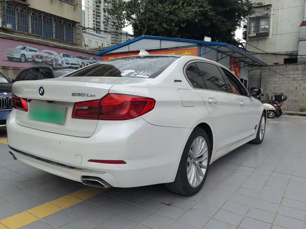 BMW 5 Series New Energy 2020